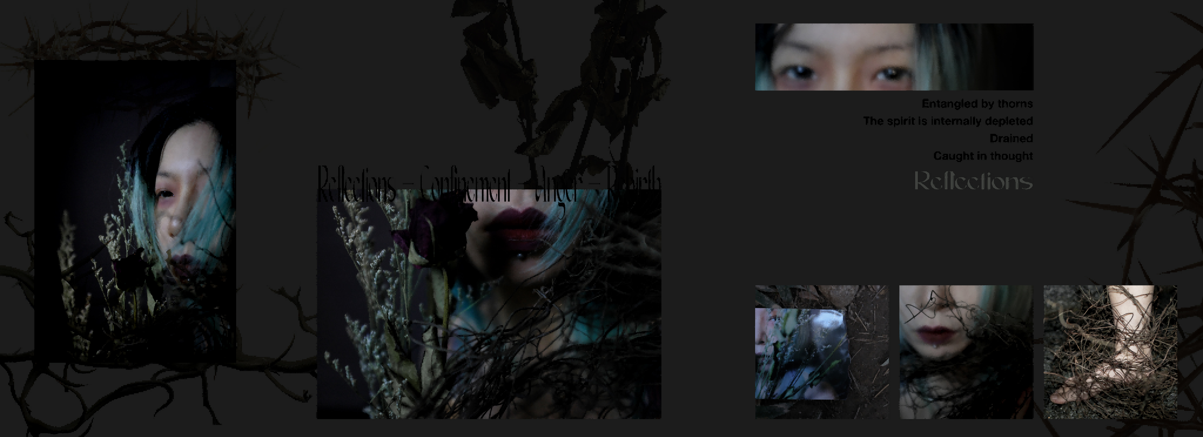 Metamorphosis - Female Youth and Self-Protection 2